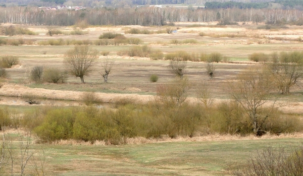 Zdjęcie z Polski - ...