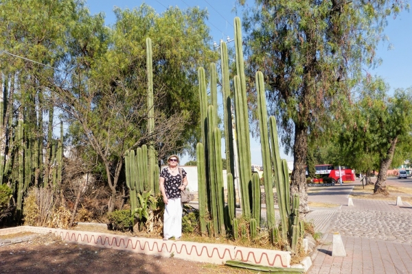 Zdjęcie z Meksyku - przy kolczastym płotku 🌵 😊
