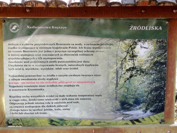 Zdjęcie z Polski - ...