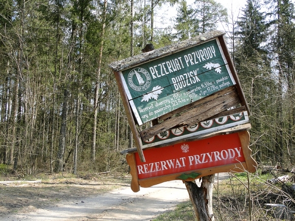 Zdjęcie z Polski - ...