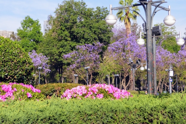 Zdjęcie z Meksyku - a po naszej wciąż Alameda Park