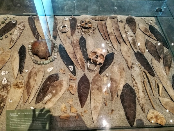 Zdjęcie z Meksyku - zdeformowane czaszki małych dzieci - w sali poświęconej kulturze Olmeków