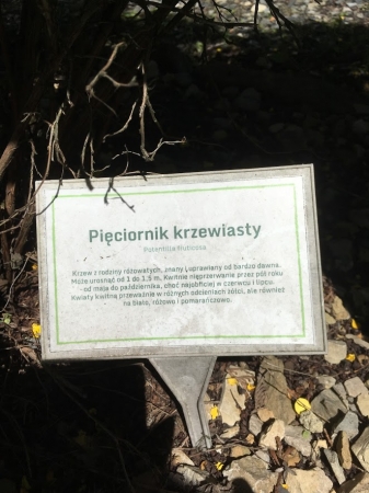 Zdjęcie z Polski - Inwałd