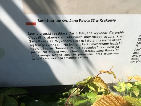 Zdjęcie z Polski - 