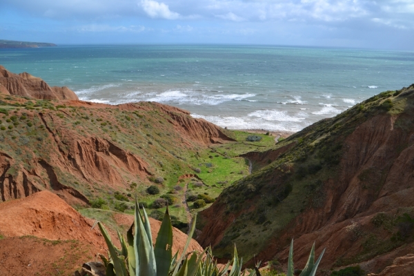 Zdjęcie z Australii - Cactus Canyon - Kaktusowy Kanion - widok z gory