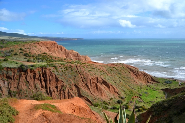 Zdjęcie z Australii - W dole Cactus Canyon, dalej klify Warabari