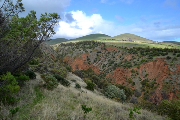 Zdjęcie z Australii - Cactus Canyon - Kaktusowy Kanion - widok z gory