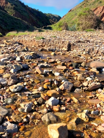 Zdjęcie z Australii - Ujscie strumienia Cactus Canyon Creek