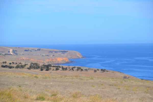 Zdjęcie z Australii - Wjezdzamy na Polwysep Fleurieu, widac klify Warabari