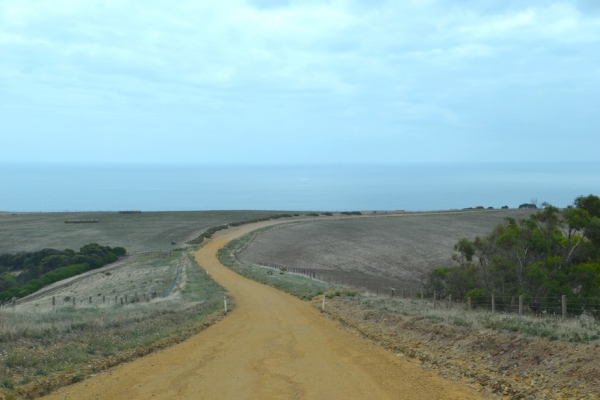 Zdjęcie z Australii - W drodze do Myponga Beach