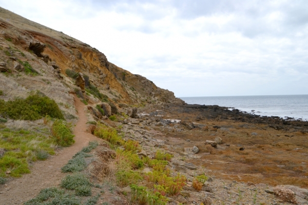 Zdjęcie z Australii - Skaly Myponga Beach