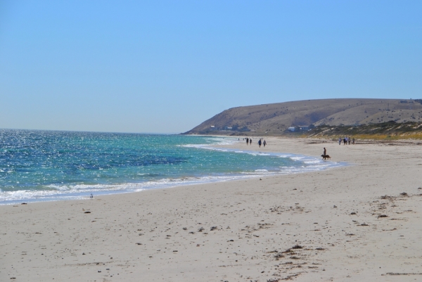 Zdjęcie z Australii - Plaza w Normanville