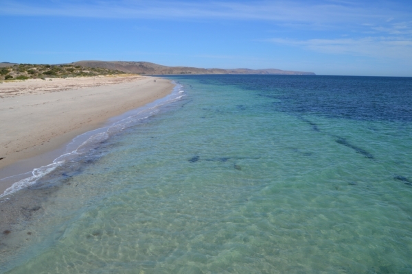 Zdjęcie z Australii - Plaza w Normanville