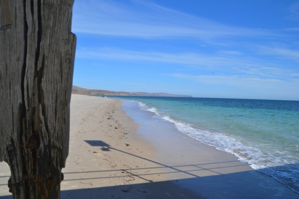 Zdjęcie z Australii - Stare molo w Normanville