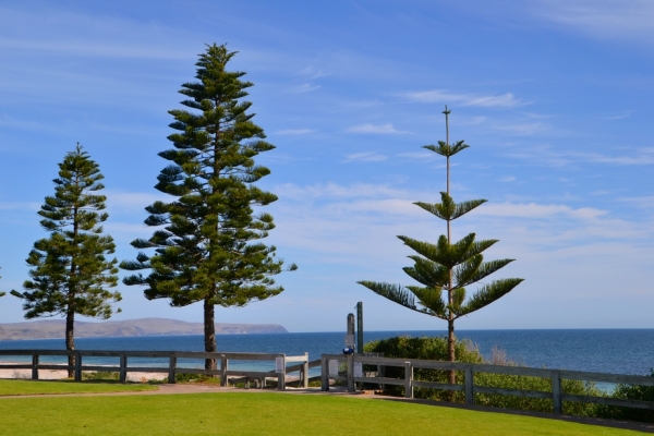 Zdjęcie z Australii - Normanville
