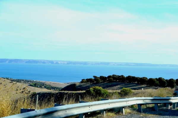 Zdjęcie z Australii - Na przyladku Cape Jervis - czubku Polwyspu Fleurieu