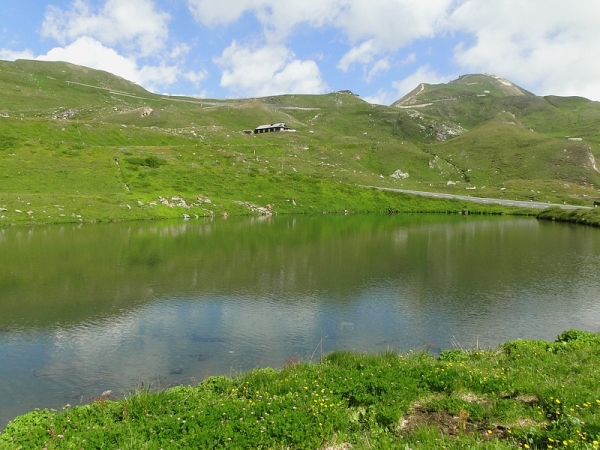 Zdjęcie z Austrii - Nad jeziorem Fuscher Lacke