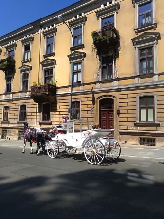 Zdjęcie z Polski - 