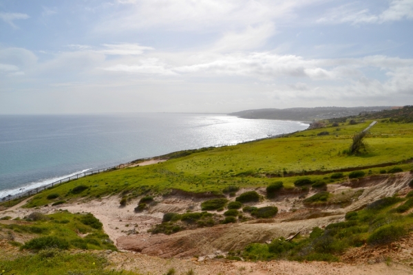 Zdjęcie z Australii - Poludniowe krance zatoki Hallett Cove