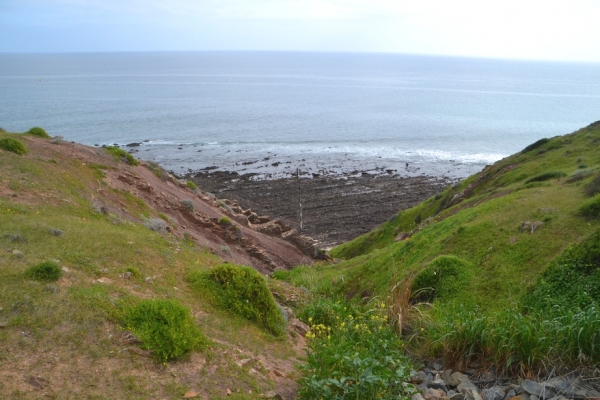 Zdjęcie z Australii - Szlak wzdloz wybrzeza Hallett Cove