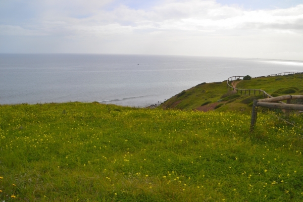 Zdjęcie z Australii - Szlak wzdloz wybrzeza Hallett Cove