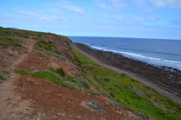 Zdjęcie z Australii - Szlak wzdloz wybrzeza Hallett Cove