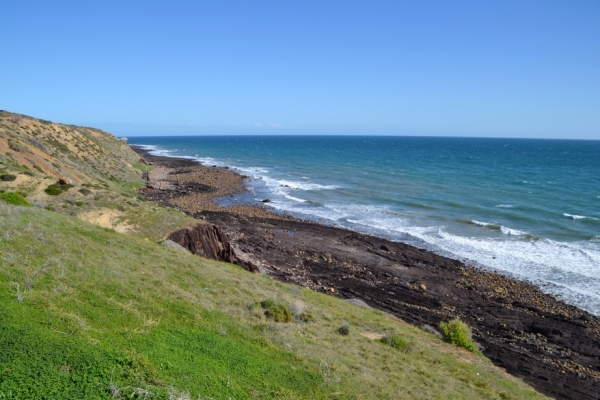 Zdjęcie z Australii - Powracamy na szlak wzdloz wybrzeza Hallett Cove