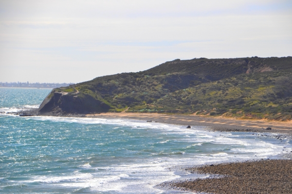 Zdjęcie z Australii - Kamienista plaza Hallett Cove Beach