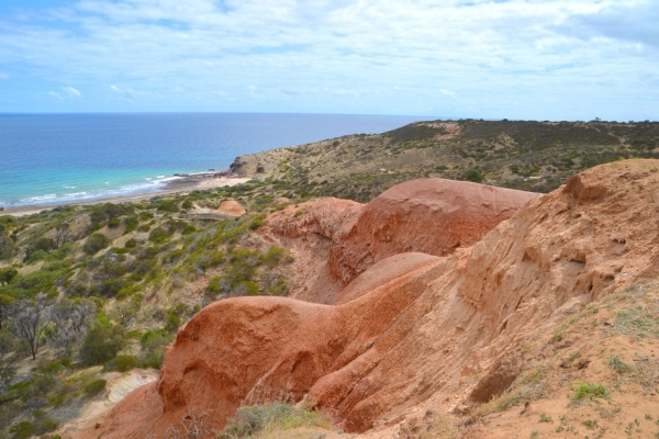 Zdjęcie z Australii - Rezerwat Geologiczny Hallett Cove