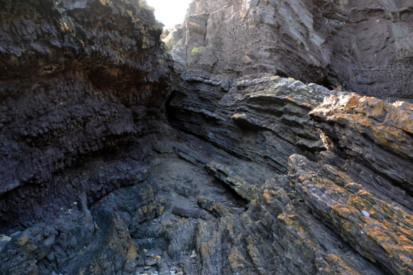Zdjęcie z Australii - Grota Hallett Cove cave
