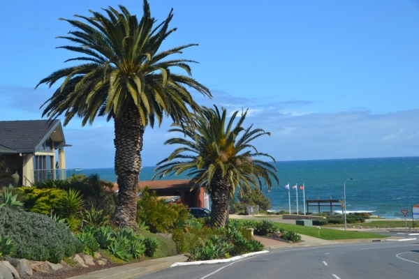 Zdjęcie z Australii - I znowu wracam na Hallett Cove