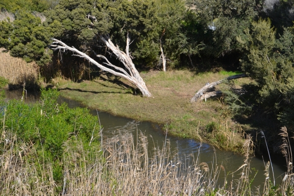 Zdjęcie z Australii - Na sciezce w gore rzeki Field River