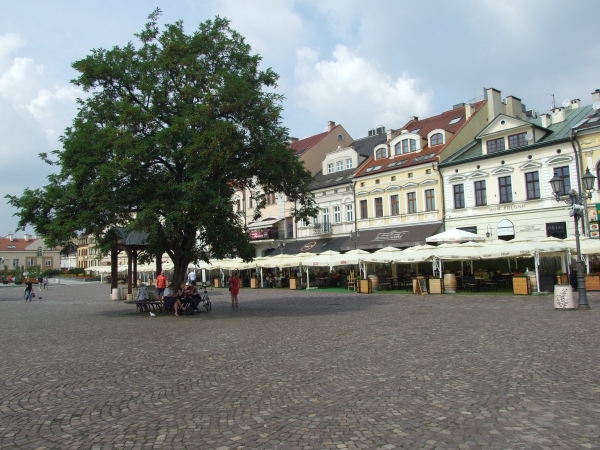 Zdjęcie z Polski - na rzeszowskim rynku