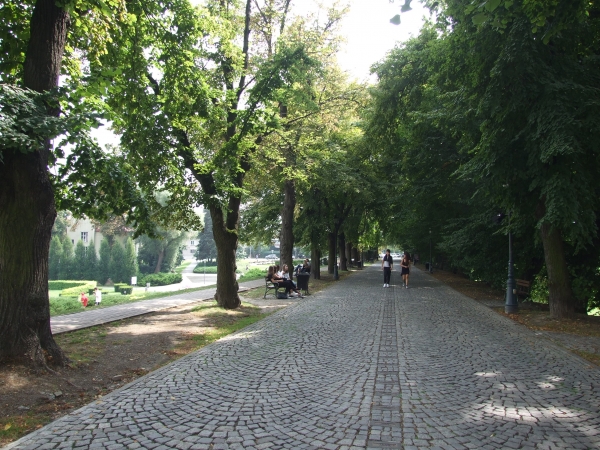 Zdjęcie z Polski - Rzeszów