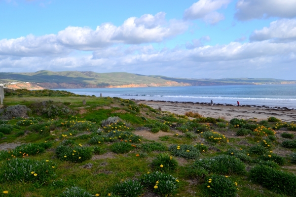 Zdjęcie z Australii - Aldinga. Plaza Silver Sands - Srebrne Piaski