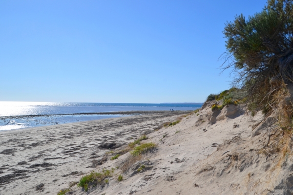 Zdjęcie z Australii - I znowu Aldinga - tym razem miejsce zwane Snapper Point