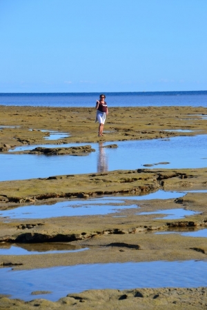 Zdjęcie z Australii - Skalne dno wokol cypla Snapper Point