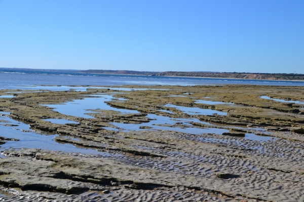 Zdjęcie z Australii - Skalne dno wokol cypla Snapper Point