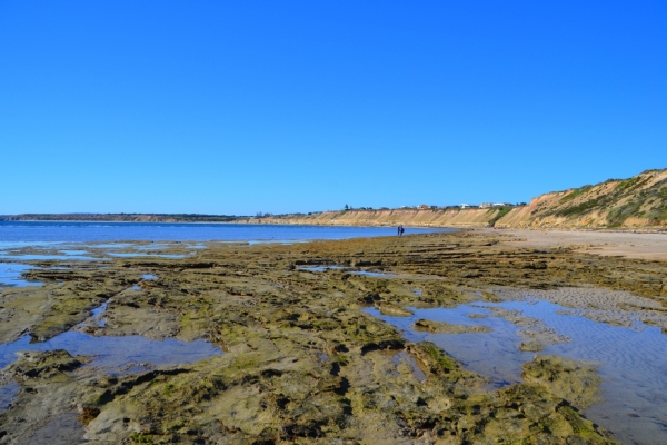 Zdjęcie z Australii - Pop drugiej stronie cypla widac zatoke Pt Willunga