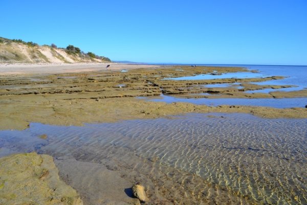 Zdjęcie z Australii - Aldinga - Snapper Point