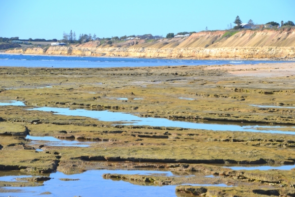 Zdjęcie z Australii - Skalne dno wokol cypla Snapper Point