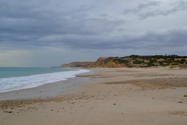 Zdjęcie z Australii - Przede mna plaza Pt. Willunga Beach i klif