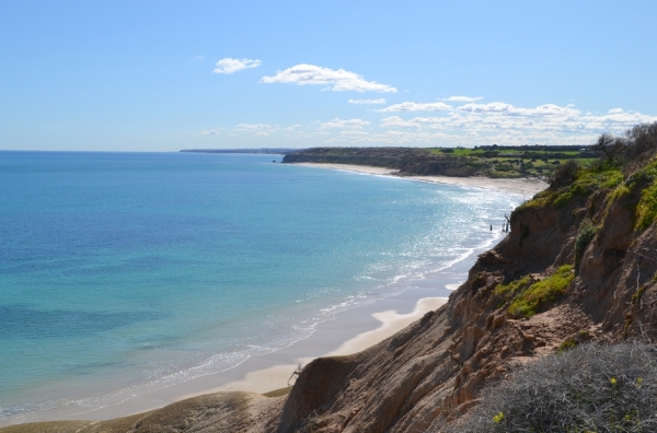 Zdjęcie z Australii - Zgodnie ze zlozona sobie obietnica wracam do Pt. Willunga