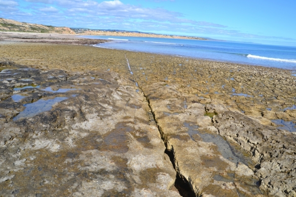 Zdjęcie z Australii - Wracam do Port Willunga