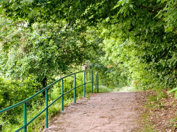 Zdjęcie z Polski - ścieżka rekreacyjna nad zalewem zegrzyńskim