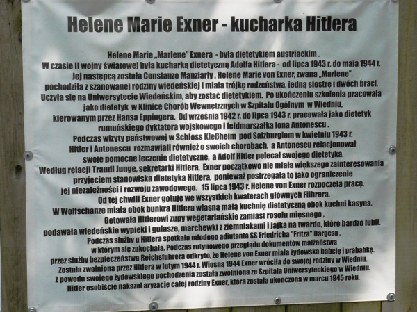 Zdjęcie z Polski - 