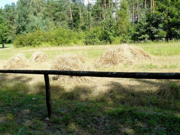 Zdjęcie z Polski - 
