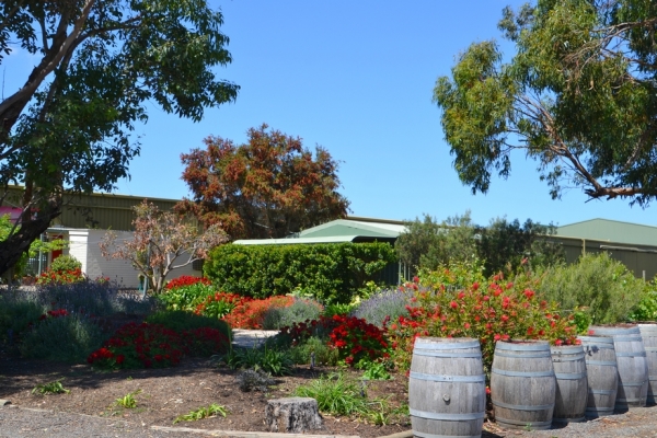 Zdjęcie z Australii - Aldinga Aerodrome