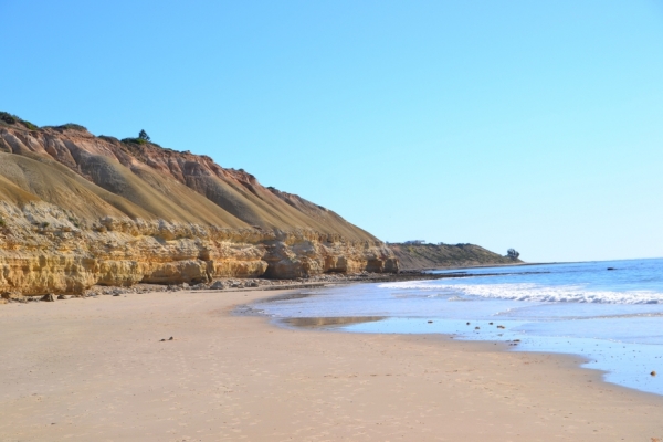 Zdjęcie z Australii - Klify Aldinga Beach