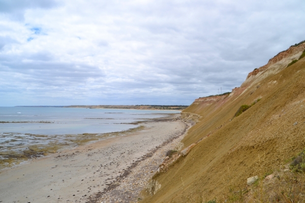 Zdjęcie z Australii - Klif Aldinga Beach